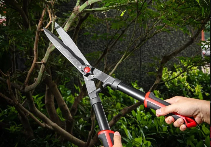 Maximize Gardening Pruning with High-Quality Shears