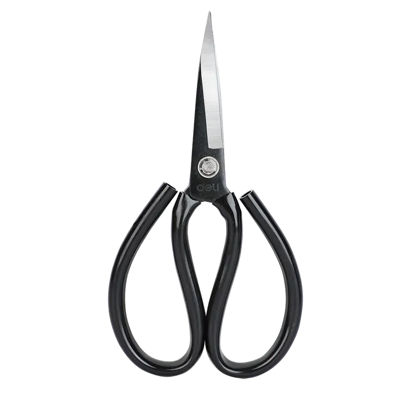 Scissors