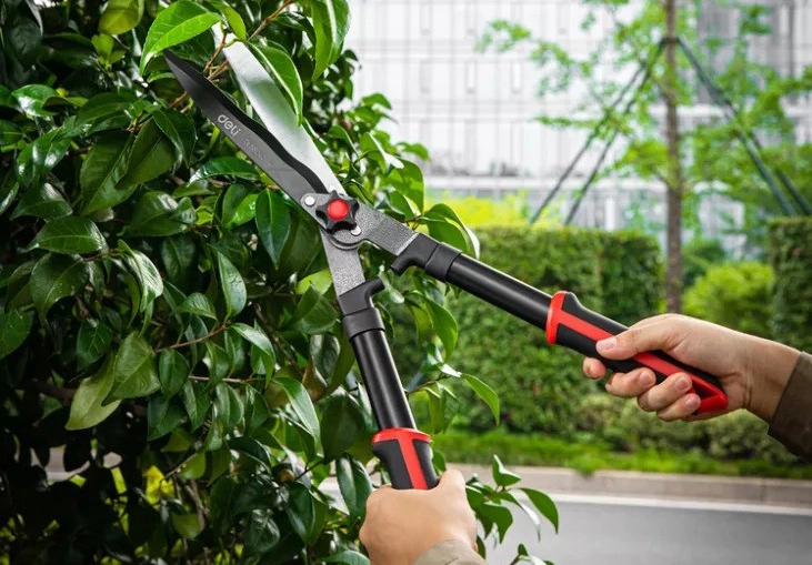 Garden Tool - Essential Equipment for the Horticulture Enthusiast